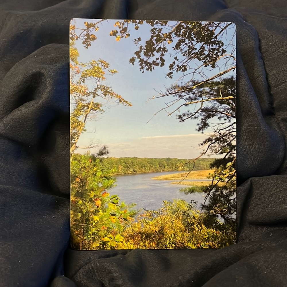 Fridge Magnet